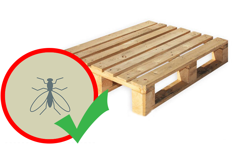 pallet-nhua