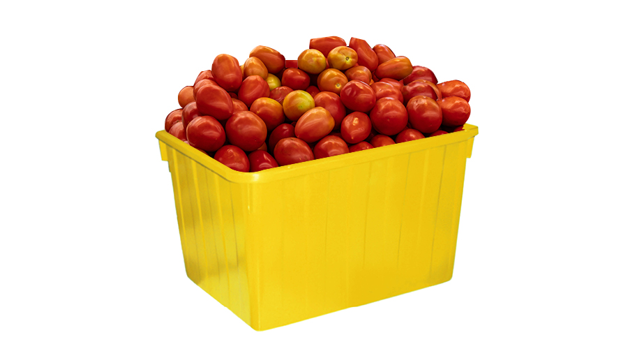 thùng nhựa vuông đựng trái cây